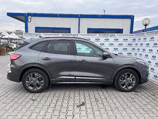 FORD Kuga 2.5 Full Hybrid 190 CV CVT 2WD ST-Line