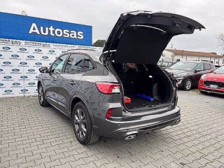 FORD Kuga 2.5 Full Hybrid 190 CV CVT 2WD ST-Line