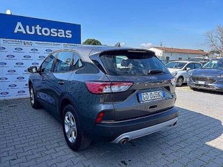 FORD Kuga 1.5 EcoBlue 120 CV aut. 2WD Connect