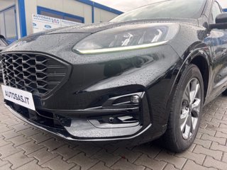 FORD Kuga 1.5 ecoblue ST-Line 2wd 120cv auto