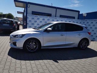 FORD Focus 1.0 EcoBoost 125 CV 5p. ST-Line