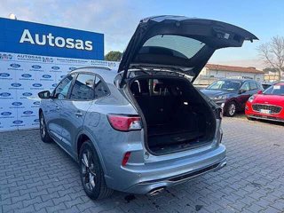 FORD Kuga 2.5 Plug In Hybrid 225 CV CVT 2WD ST-Line X