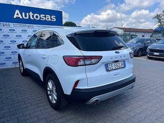 FORD Kuga 1.5 EcoBlue 120 CV 2WD Titanium Business