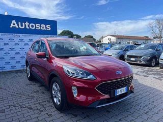 FORD Kuga 1.5 EcoBlue 120 CV 2WD Connect