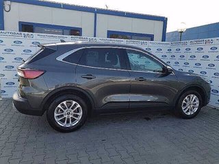 FORD Kuga 1.5 EcoBlue 120 CV 2WD Titanium