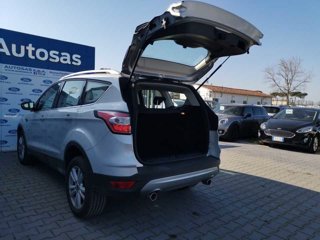 FORD Kuga 1.5 TDCI 120 CV S&S 2WD Powershift Titanium