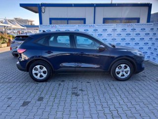 FORD Kuga 1.5 EcoBlue 120 CV 2WD ST-Line