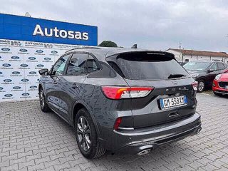 FORD Kuga 2.5 Full Hybrid 190 CV CVT 2WD ST-Line