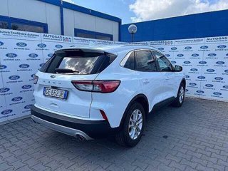 FORD Kuga 1.5 EcoBlue 120 CV 2WD Titanium Business