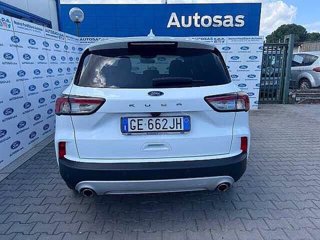 FORD Kuga 1.5 EcoBlue 120 CV 2WD Titanium Business