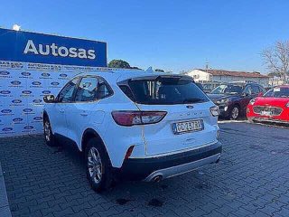 FORD Kuga 1.5 EcoBlue 120 CV 2WD Titanium Business