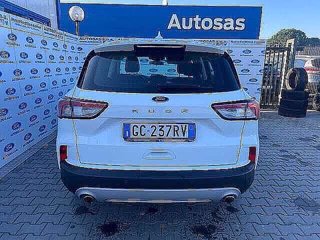 FORD Kuga 1.5 EcoBlue 120 CV 2WD Titanium Business