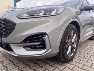 FORD Kuga 1.5 ecoblue ST-Line 2wd 120cv