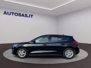 FORD Focus 1.0 ecoboost Business s&s 125cv