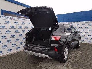 FORD Kuga 2.5 Plug In Hybrid 225 CV CVT 2WD Connect