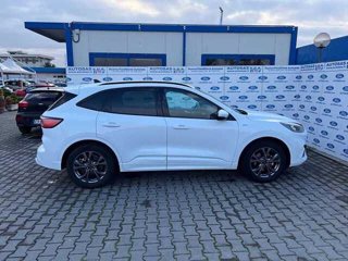 FORD Kuga 1.5 EcoBoost 150 CV 2WD ST-Line