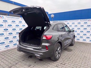 FORD Kuga 2.5 Plug In Hybrid 225 CV CVT 2WD ST-Line X