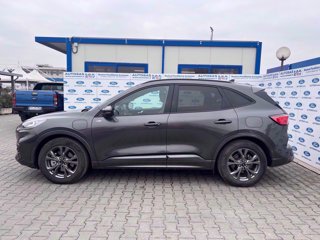 FORD Kuga 2.5 Plug In Hybrid 225 CV CVT 2WD ST-Line X