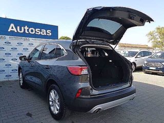 FORD Kuga 1.5 EcoBlue 120 CV 2WD Titanium