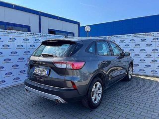 FORD Kuga 1.5 EcoBlue 120 CV aut. 2WD Connect