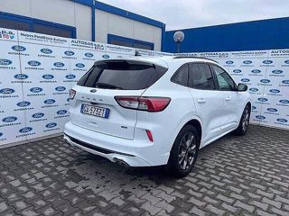 FORD Kuga 2.5 Plug In Hybrid 225 CV CVT 2WD ST-Line X