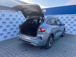 FORD Kuga 2.5 Plug In Hybrid 225 CV CVT 2WD ST-Line X