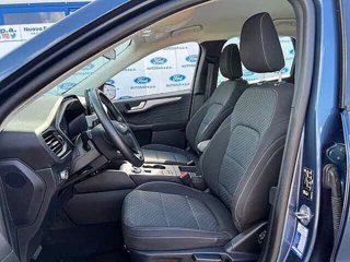 FORD Kuga 2.5 Plug In Hybrid 225 CV CVT 2WD Connect