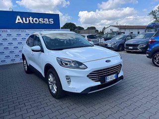 FORD Kuga 1.5 EcoBlue 120 CV 2WD Titanium Business