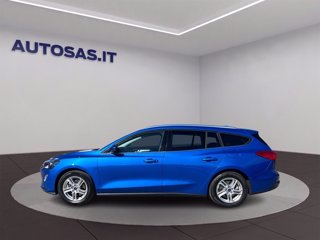 FORD Focus SW 1.5 ecoblue Business 120cv auto