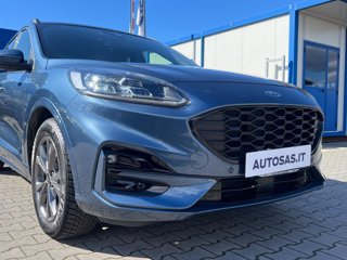 FORD Kuga 1.5 ecoblue ST-Line X 2wd 120cv auto