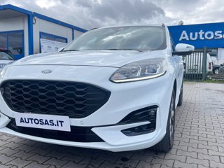 FORD Kuga 2.0 ecoblue mhev ST-Line 2wd 150cv